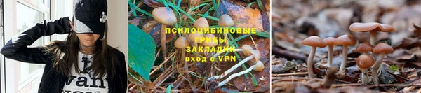 прущая мука Волоколамск