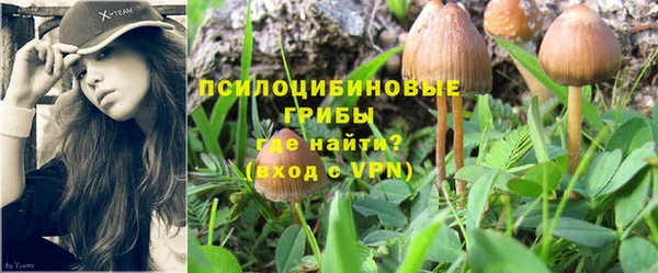 твердый Володарск