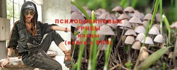 гидра Вязники
